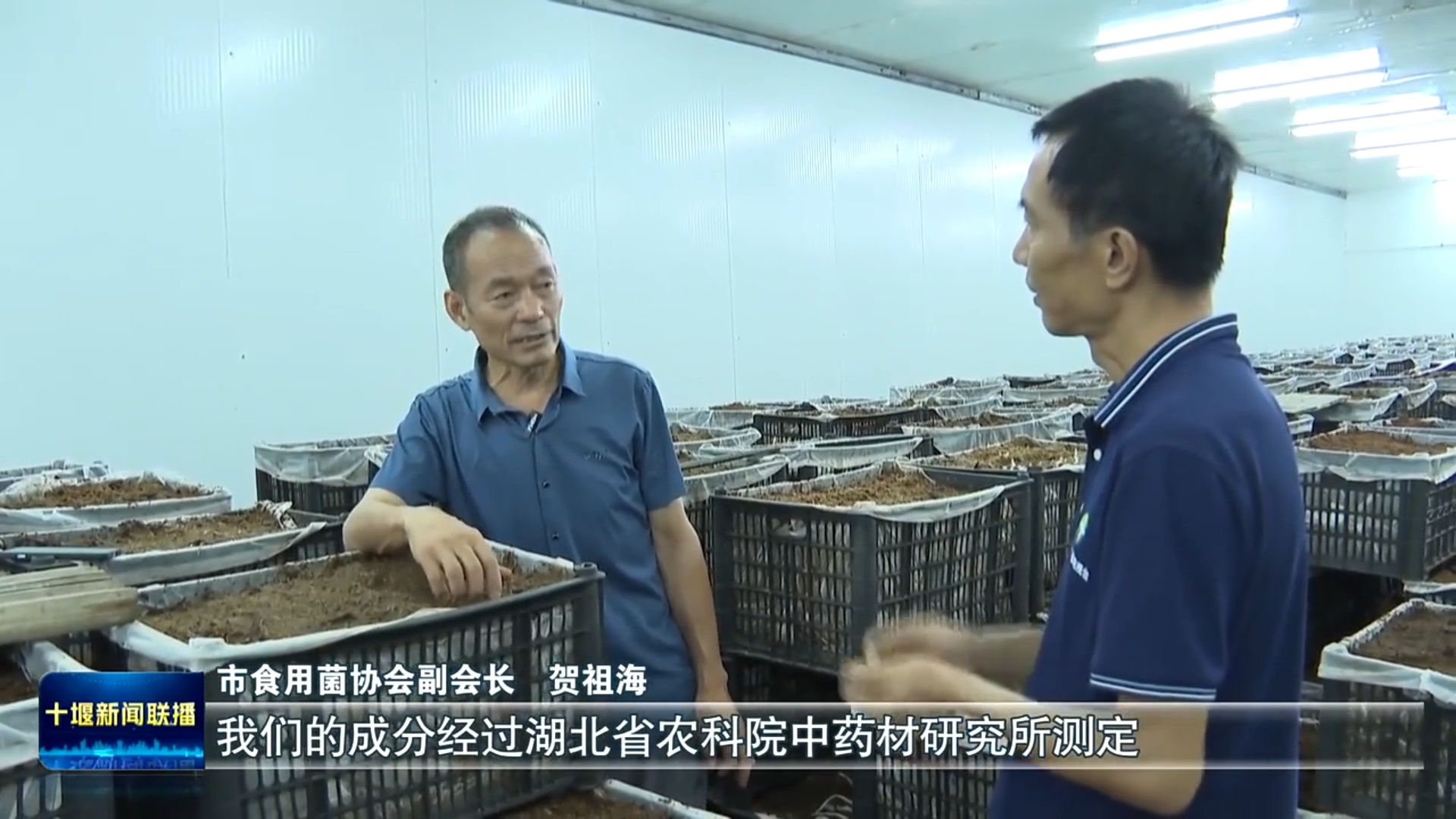 贺祖海受邀十堰新闻联播采访